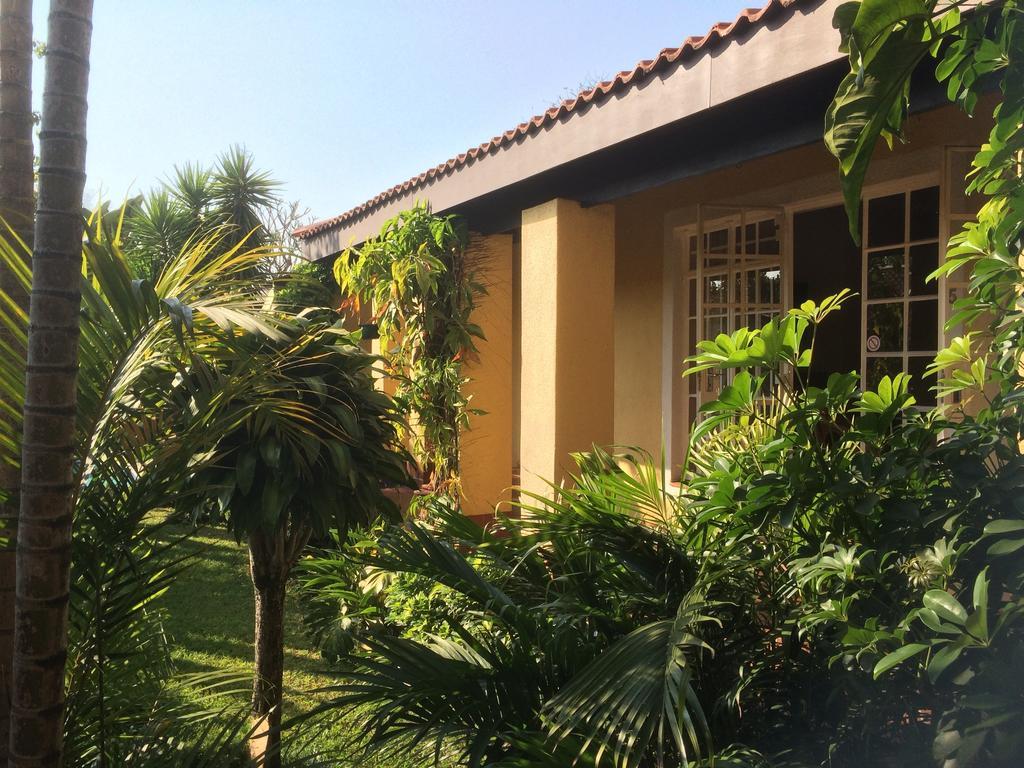 Auberge Guest Lodge 넬스프리트 객실 사진